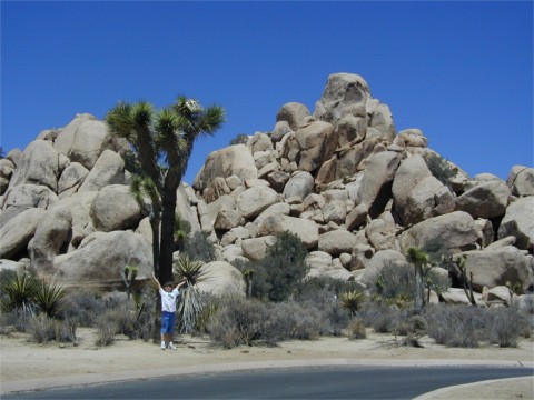 Justine in front of a Joshua Tree