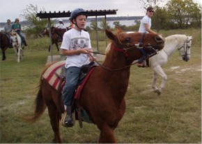 Horse.jpg (22368 bytes)