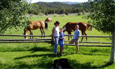 Horses.jpg (50284 bytes)