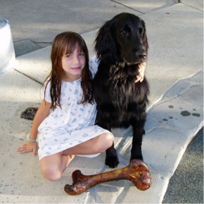 Sirius2.jpg (27820 bytes)