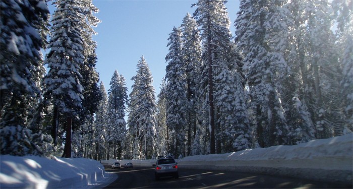 Snow.jpg (97946 bytes)