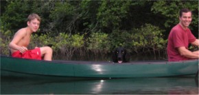 Sprinklers.jpg (35493 bytes)