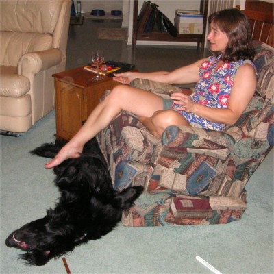 L-Dog.jpg (50367 bytes)