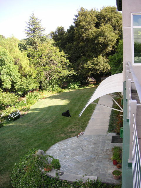 Old
              Lawn